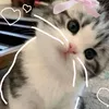 ur_kaii7