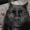 rappyrizzy