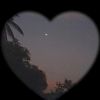 nadia.ahmed685
