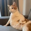 imnigelxx