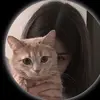 loreen.cuttey