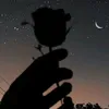 asasn.gd6