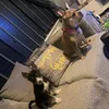 rhyse.bit.wi.the