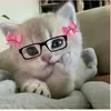 ayeshathebutiki0