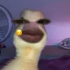 bnogiu1