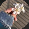 salma.noor5808