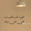 jana.tamer580
