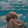 user84784228355307