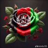 samiraafg13