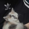 sunqlxx
