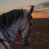 derya17r