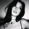 roose_113