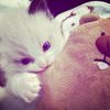 nina_wutwut
