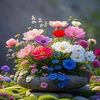 yousaf.dawar2