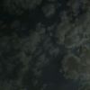 user7482059704650