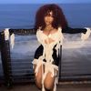 sza_fannnn7