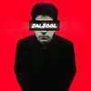 zalzool_0