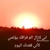user9460019309537