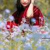 alom69527