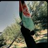 mr_afgan3