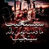 user3962219562561