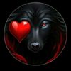 lobo.alfa455