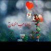 irfanabbas2338