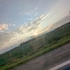morgie4447