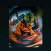 motorcozy24