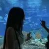 crtpt1c_w1sp