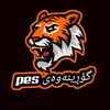 pesmhmad6