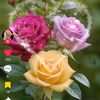 user6111004944495