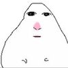 sylusshibal