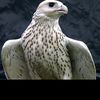 user9527008081610