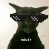 wiu1r