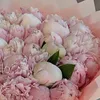 loveforgirlhoodxo