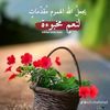 user7740959739408
