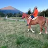 simon24parancan