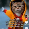 wina.alfina7