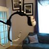 pickledpuppet