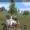 syedop48