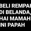 pinzaaxeriol_79