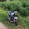 rumahpati3
