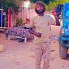 walialdin.edrees