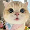 linh.thuy6795