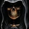 user8331361088881