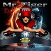 mr.tiger0873