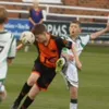 pipesy12