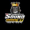 pemburu_sound_horeg.87