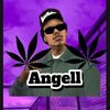 angell22880